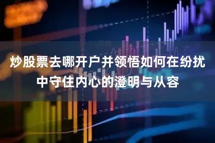 炒股票去哪开户并领悟如何在纷扰中守住内心的澄明与从容