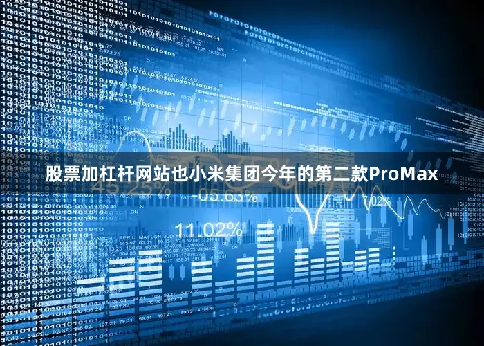 股票加杠杆网站也小米集团今年的第二款ProMax